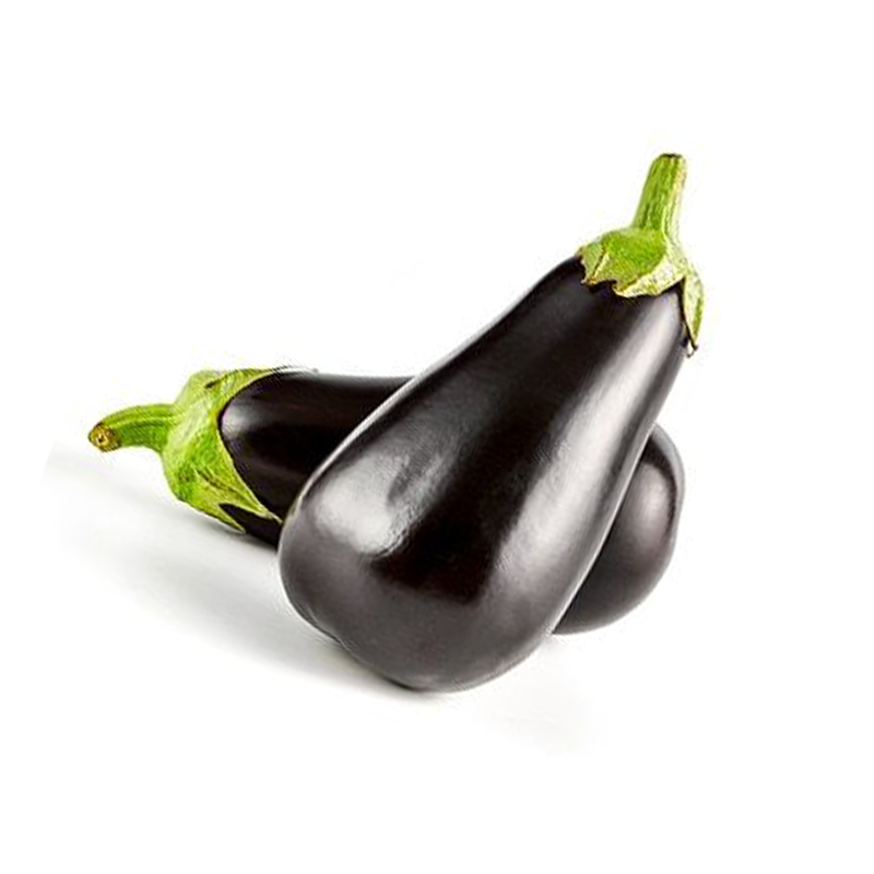 Aubergine